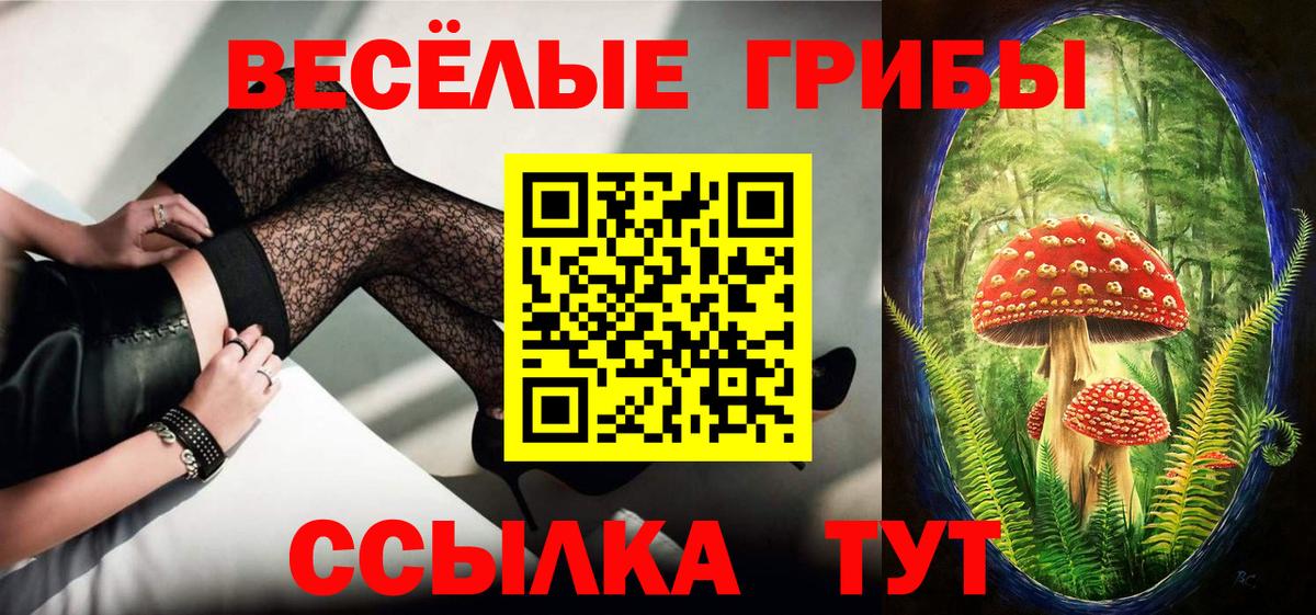 Галлюциногенные грибы Magic Shrooms Киров